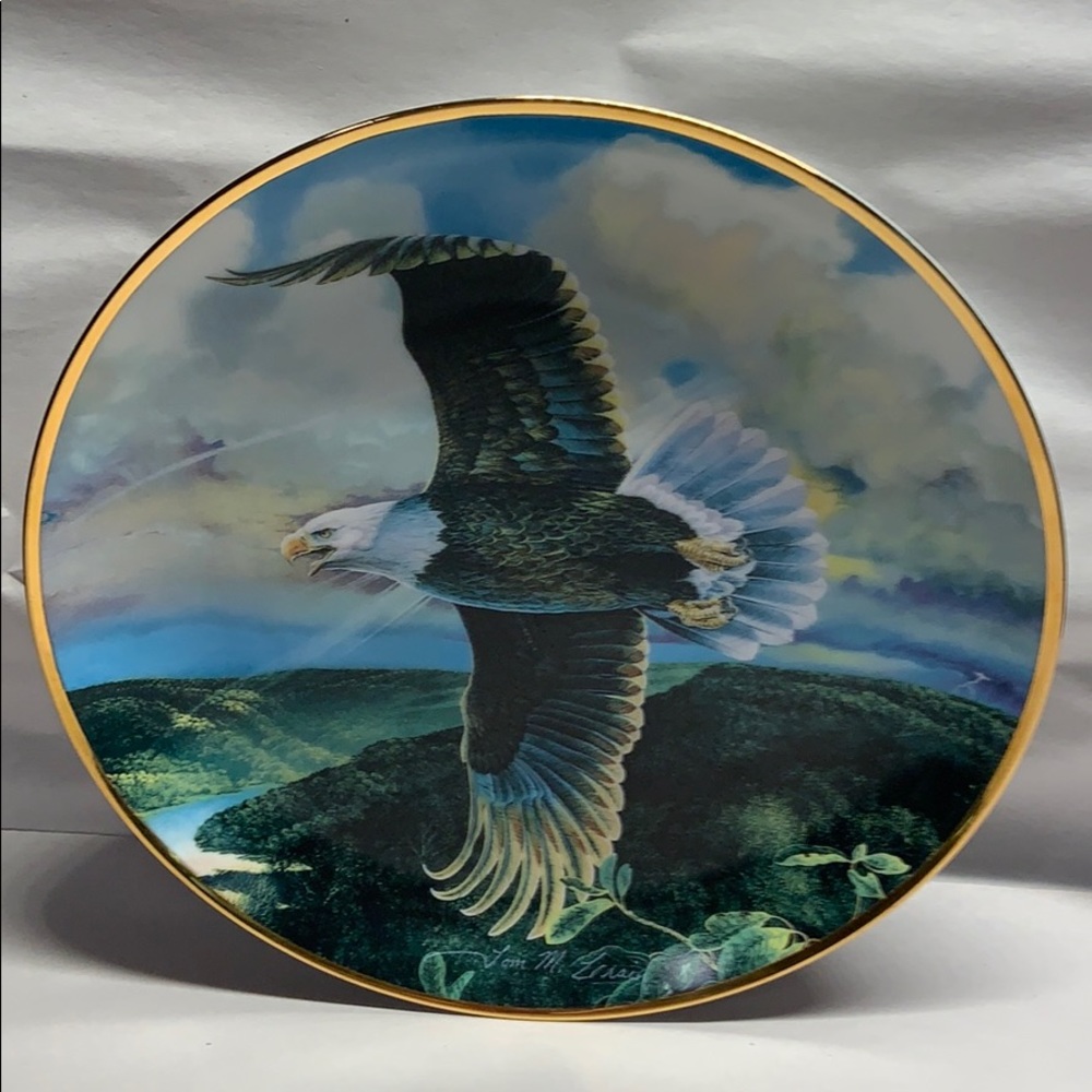 Save the Eagle